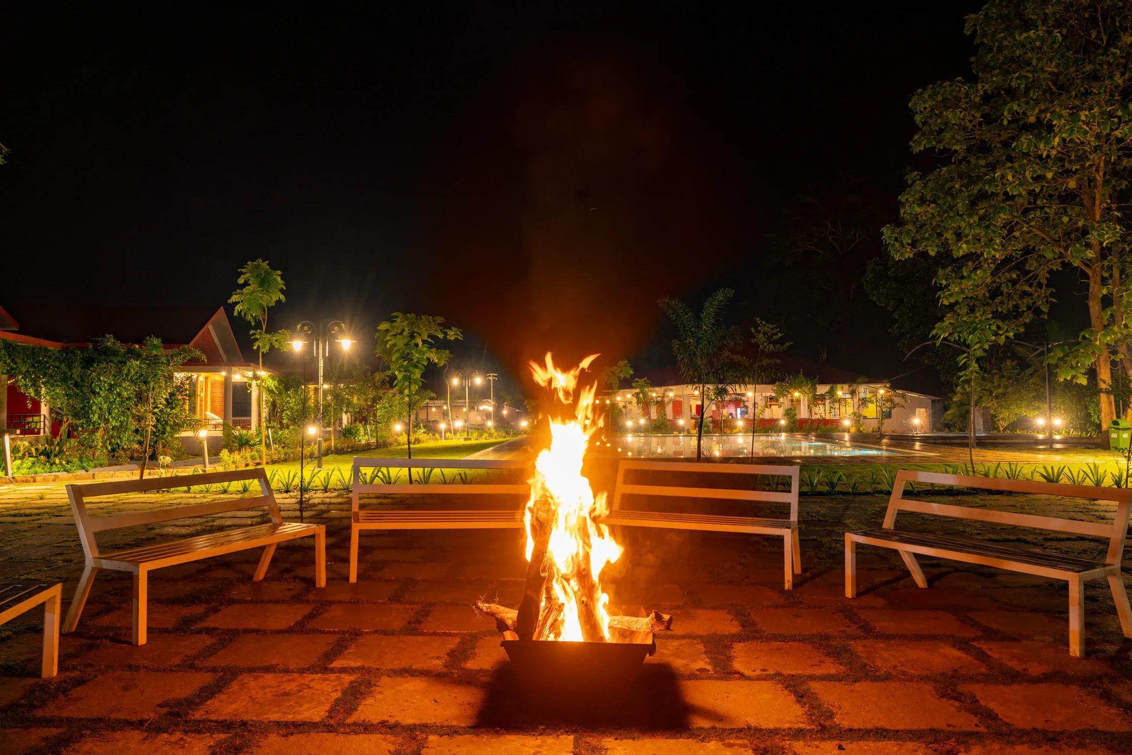The real Jungle Edge campfire and surrounding seating after dark