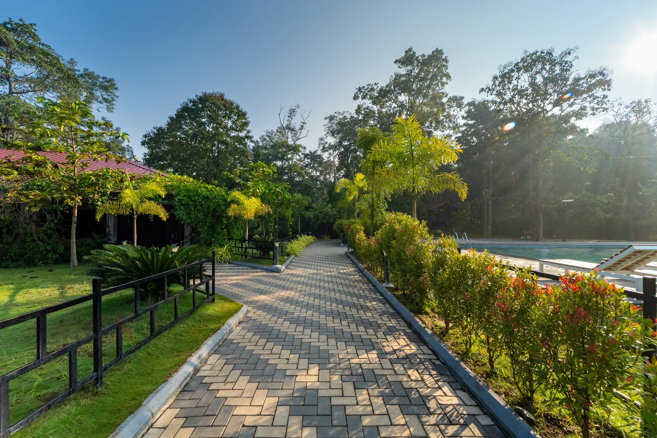 Green garden path at Jungle Edge Resort, a base for exploring Dandeli