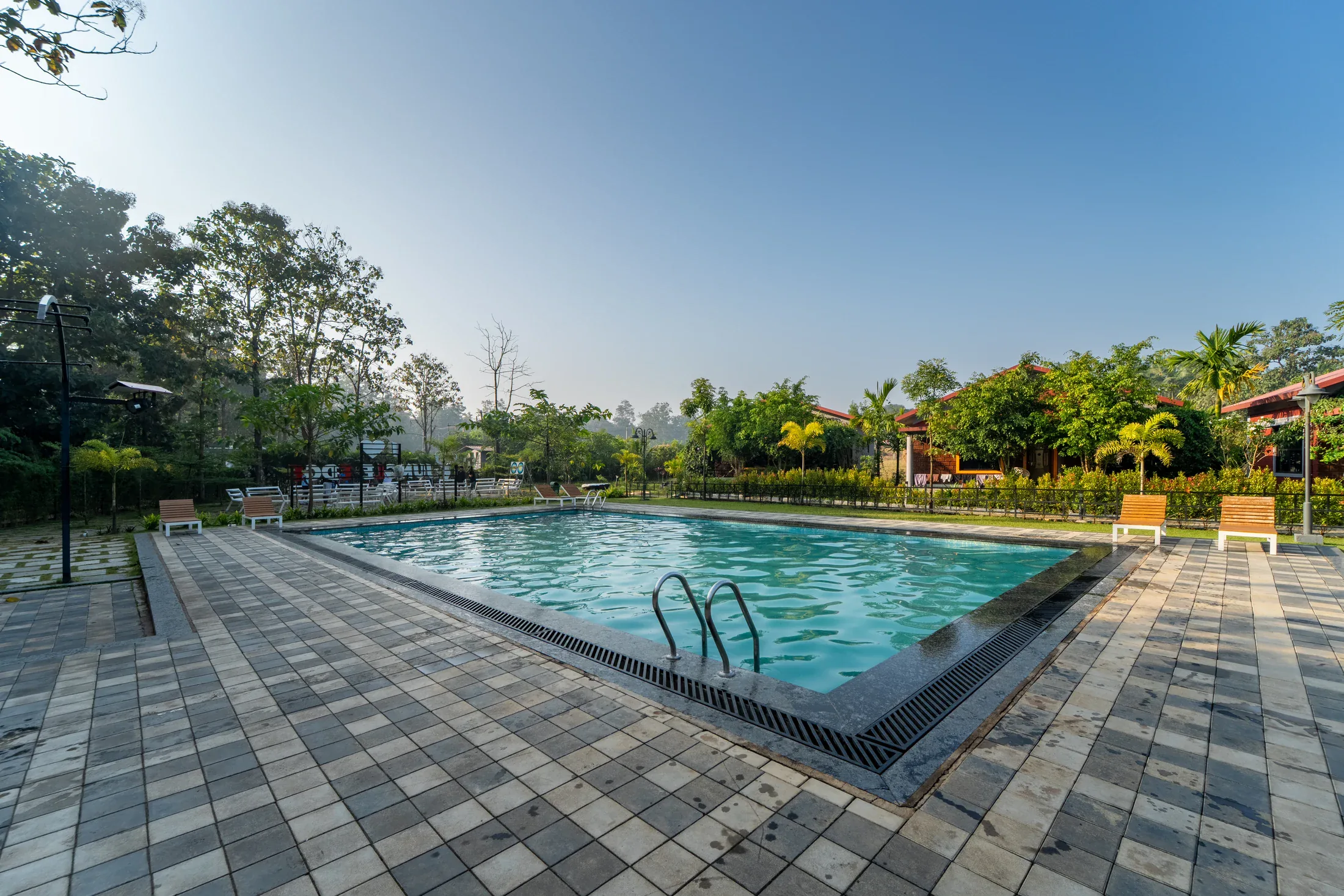 The outdoor pool and surrounding greenery at Jungle Edge